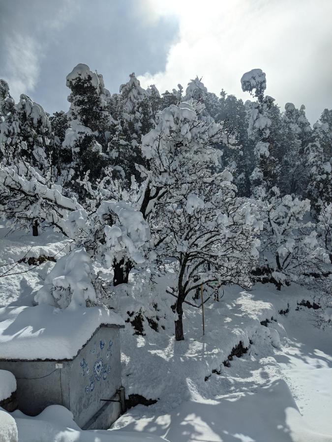 Namastay Himalayas, Kanatal Zewnętrze zdjęcie