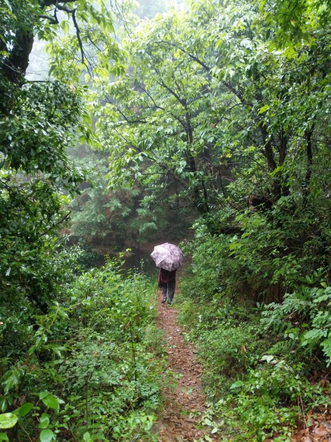 Namastay Himalayas, Kanatal Zewnętrze zdjęcie