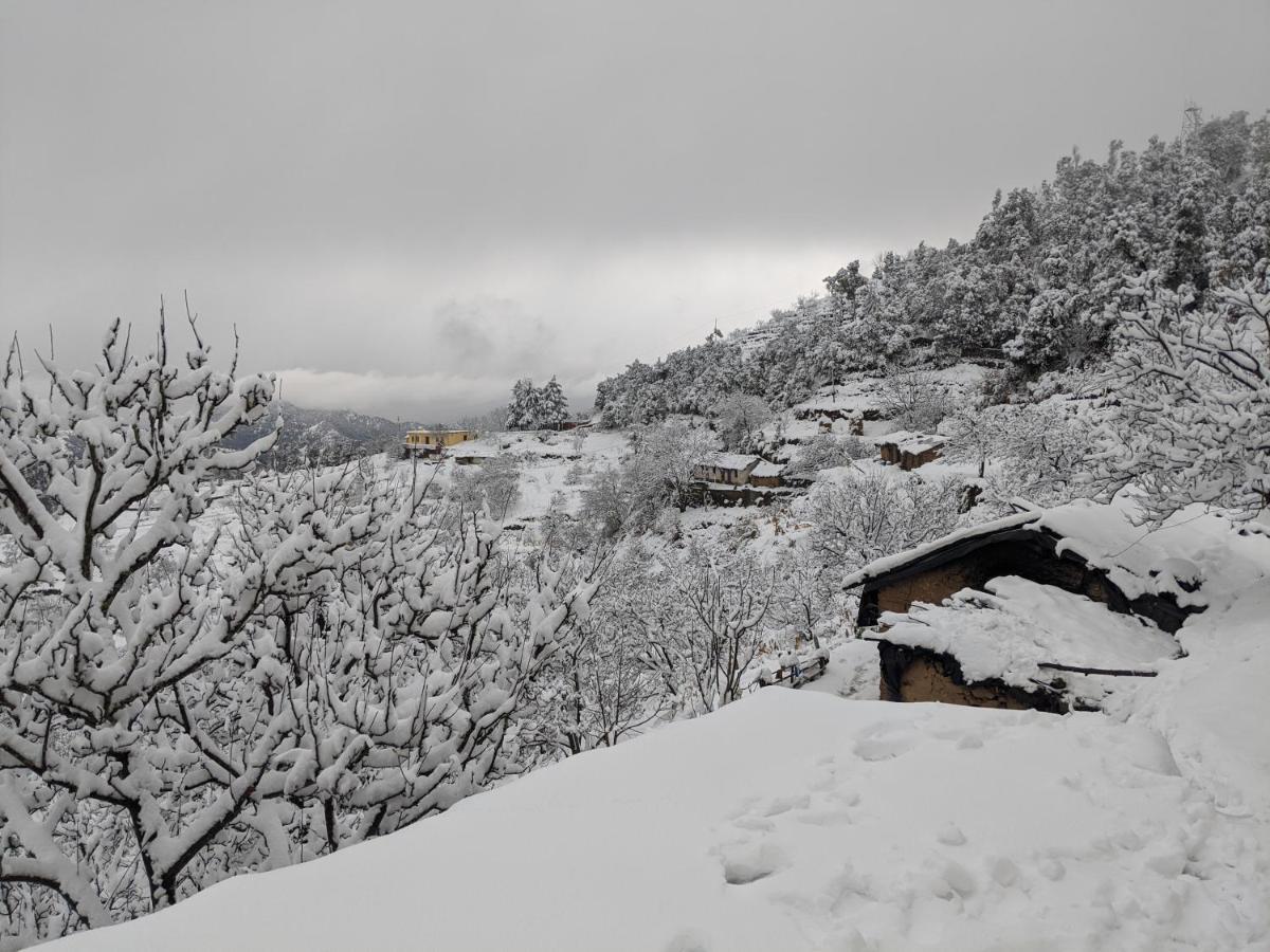 Namastay Himalayas, Kanatal Zewnętrze zdjęcie