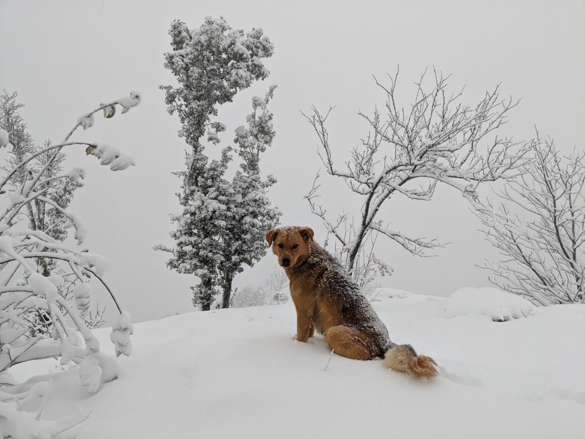 Namastay Himalayas, Kanatal Zewnętrze zdjęcie