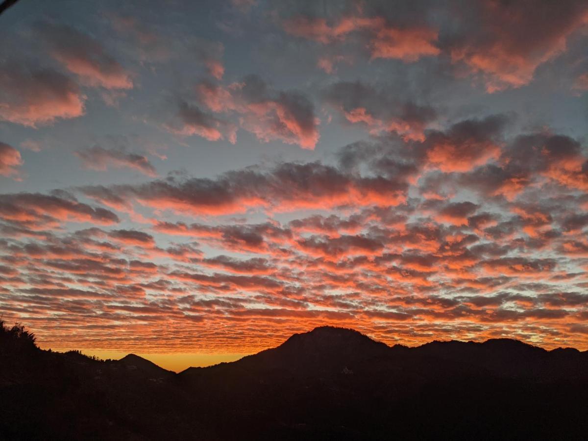 Namastay Himalayas, Kanatal Zewnętrze zdjęcie