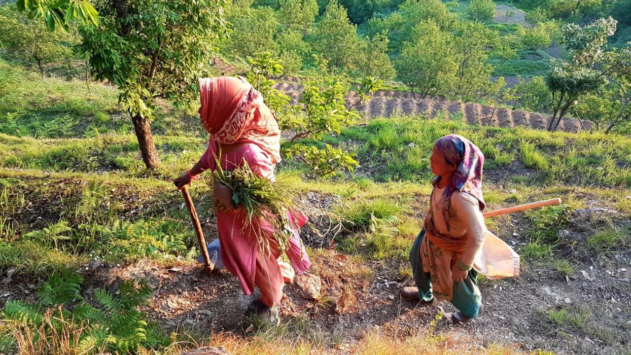 Namastay Himalayas, Kanatal Zewnętrze zdjęcie