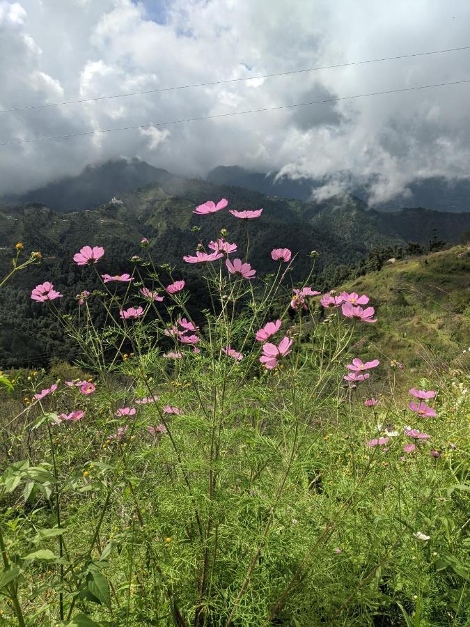 Namastay Himalayas, Kanatal Zewnętrze zdjęcie
