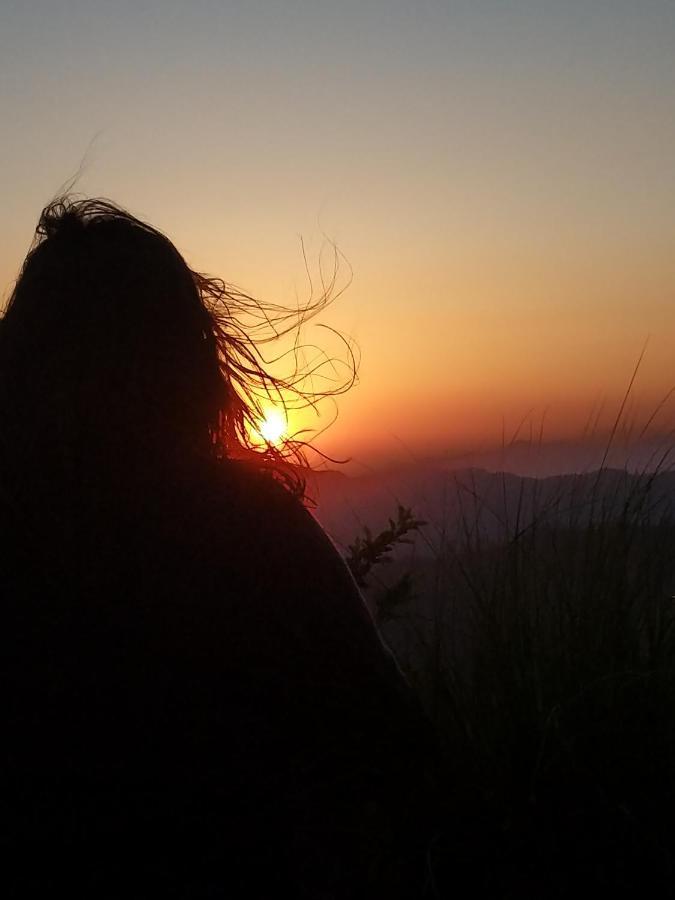 Namastay Himalayas, Kanatal Zewnętrze zdjęcie