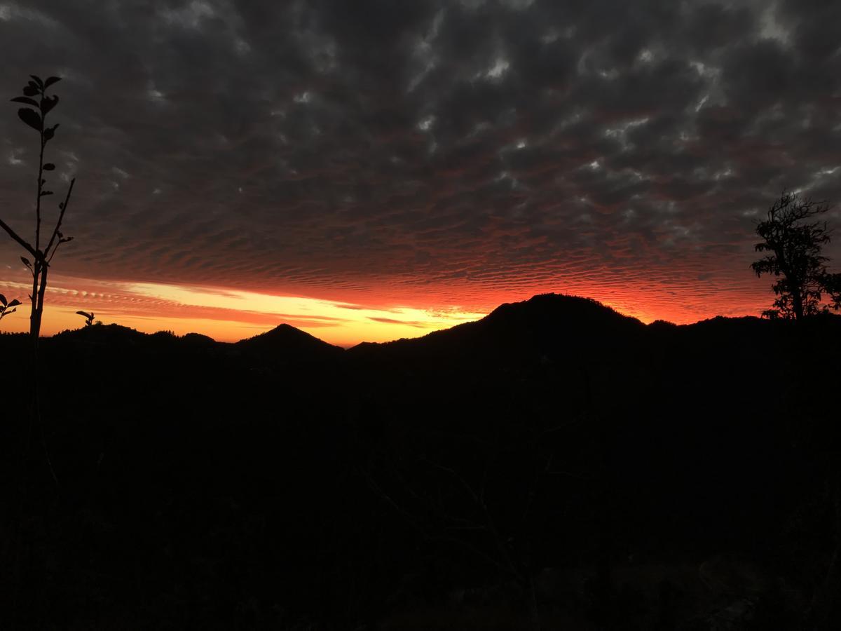 Namastay Himalayas, Kanatal Zewnętrze zdjęcie