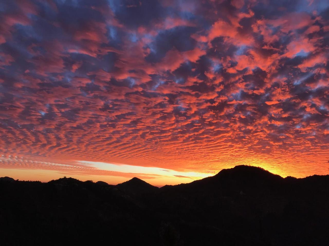 Namastay Himalayas, Kanatal Zewnętrze zdjęcie