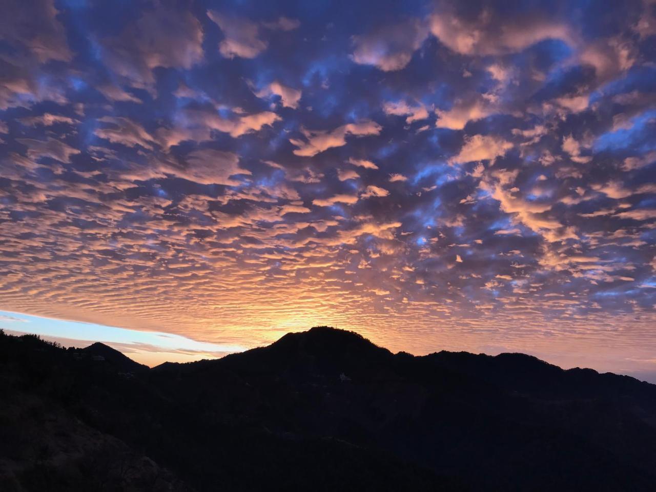 Namastay Himalayas, Kanatal Zewnętrze zdjęcie